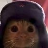 yo_soy_un_gato_de_metal
