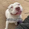 temp_ggg