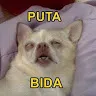 chanchispatos