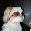justwantwatchfunnyvideos