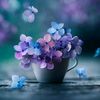 user17042000new