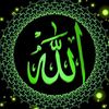 user6499622767246d