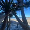 beachlife020