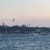 kadi3697