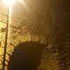 _zxxz_24