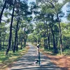 ta_kim_lien.s_daily_life