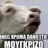 qq_tik