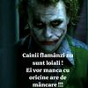 daaaanyyy