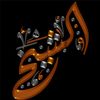 ahmad.m.el.sheikh