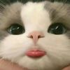 xrtluvz