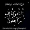 salm_shayda