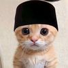 heeyyy.wan