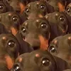 urbrudda_