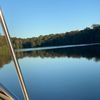 lilyleigh79