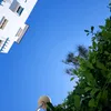 tito50885