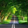 run_ranning