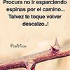 fuenteselizabeth14