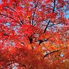 dbphotoit248