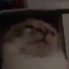 adojix