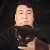 el_señor_de_los_gatos