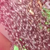 www.luh0313