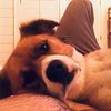 skye.mtt