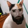 anti_gordasx0