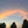 stassifinds