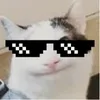 jimmyisrandom