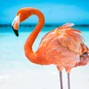 loulou04892