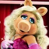 kermitthefrog2190