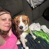 cj_the_beagle