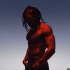 inglewoodsir