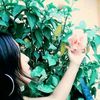 nancypaolanch4