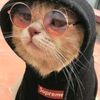 user48431801