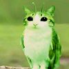 dani_20770
