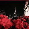 fatima.alborki
