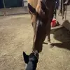 desertrosecowgirl92