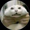 malc._.98