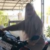 ikenovialestari4