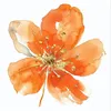 theorangebliss