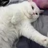duonduon09