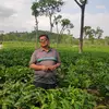 rajuaryal_507