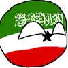 elmi33