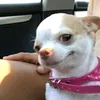 piattos_7