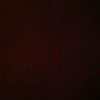 saleh_g10