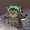 nhokcon22222.com