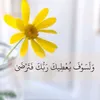 alhamdlilah509