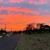 denisesilva642