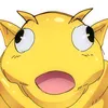 matt_cookie9